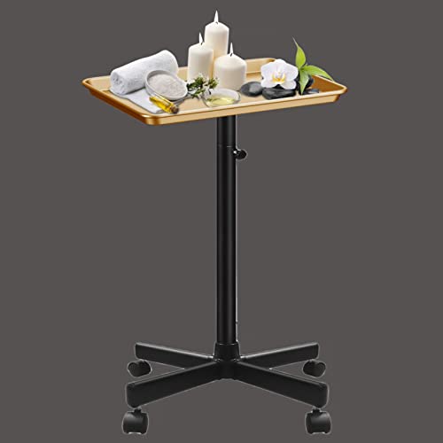 Retain Time Premium Aluminum Salon Tray, Sturdy Corrosion-Resistant Adjustable Tray is Used for Tattoo Tray, Salon Tool/Color Tray, Beauty Spa Tray, Dentist Tray, Etc.(Black+Gold) - color: Black+gold