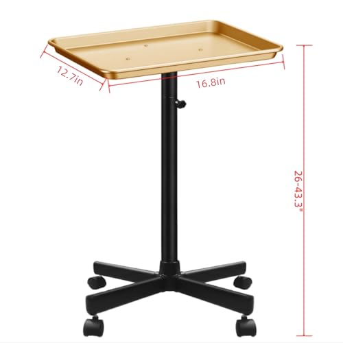 Retain Time Premium Aluminum Salon Tray, Sturdy Corrosion-Resistant Adjustable Tray is Used for Tattoo Tray, Salon Tool/Color Tray, Beauty Spa Tray, Dentist Tray, Etc.(Black+Gold) - color: Black+gold