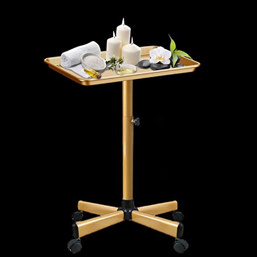 Retain Time Premium Aluminum Salon Tray, Sturdy Corrosion-Resistant Adjustable Tray is Used for Salon Tray on Wheels, Salon Tool/Color Tray, Beauty Spa Tray, Dentist Tray, Etc.…(Gold) - color: Golden
