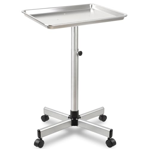 Salon Tray on Wheels,Salon Rolling Tray,Mayo Stand Tray,Medical Tray-Silver - color: Silver