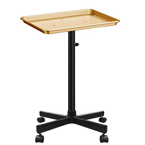 Retain Time Premium Aluminum Salon Tray, Sturdy Corrosion-Resistant Adjustable Tray is Used for Tattoo Tray, Salon Tool/Color Tray, Beauty Spa Tray, Dentist Tray, Etc.(Black+Gold) - color: Black+gold