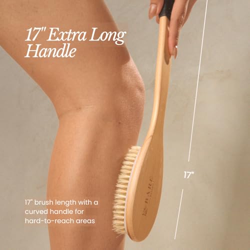 Bare Botanics 17" Extra Long Dry Body Brush - Medium Firmness Back Scrubber - size: 17-inch