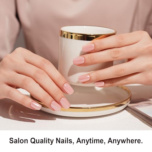 DANNI & TONI Semi Cured Gel Nail Strips Nude Pink Chrome Mirror Gel Nail Wraps 28 Stickers | Silken Hush - color: Silken Hush