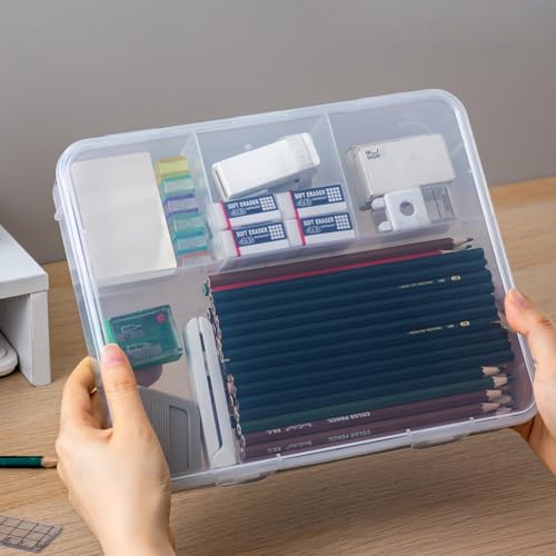 Vidifor 2-Pack Clear Cable Organizer Box with 16 Cable Ties, 4 Compartments Organizer Container for Crafts, Beads, Earrings, Screws, Nail, Pins (2, Large) - size: Large