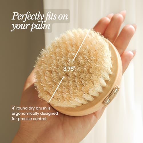 Bare Botanics Dry Brushing Body Brush for Lymphatic Drainage - size: 4-inch