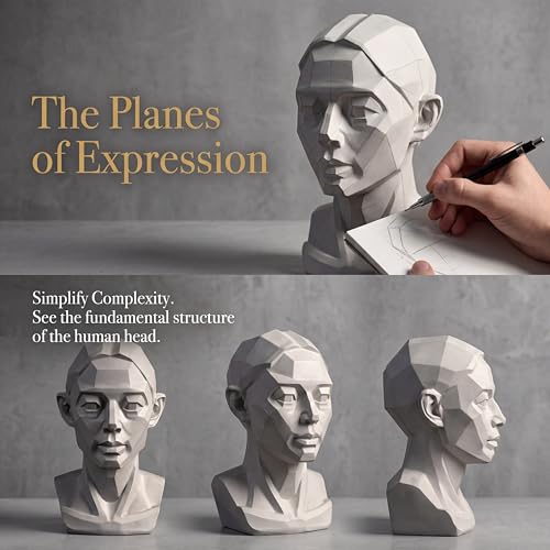 Planar Head Model Drawing Mannequin Artists Learn Planes of Face Human Manikin Head for Medical and Artistic Drawing Skecthing Painting Small Head Drawing Figure Mannequin (Female 4.5 in) - color: Female 4.5 IN