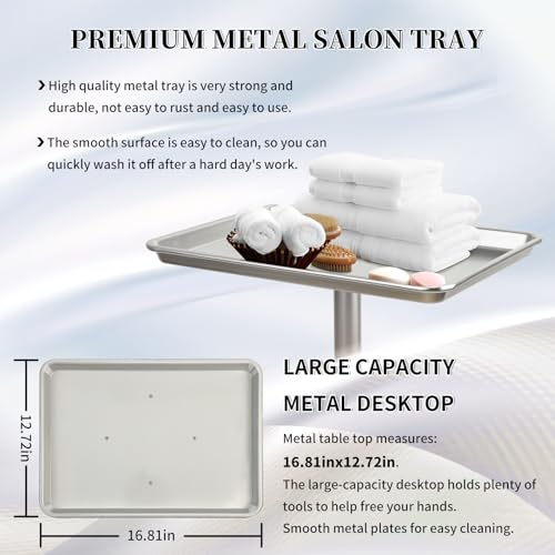 Salon Tray on Wheels,Salon Rolling Tray,Mayo Stand Tray,Medical Tray-Silver - color: Silver