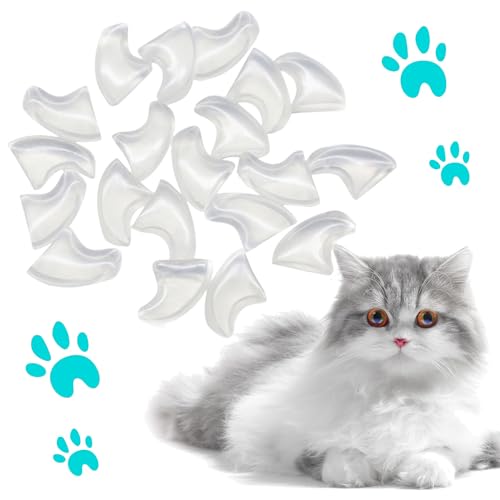 VICTHY 100pcs Cat Nail Caps Clear Cat Claw Covers Kitten Nail Caps with Adhesives and Applicators (M Clear) - size: Medium