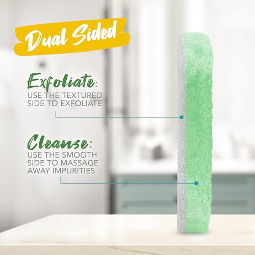 Spongeables Pedi Scrub Foot Exfoliating 5+ Wash Sponge, Citron Eucalyptus, 6 Count - color: Citron Eucalyptus, size: 1 Count (Pack of 6)