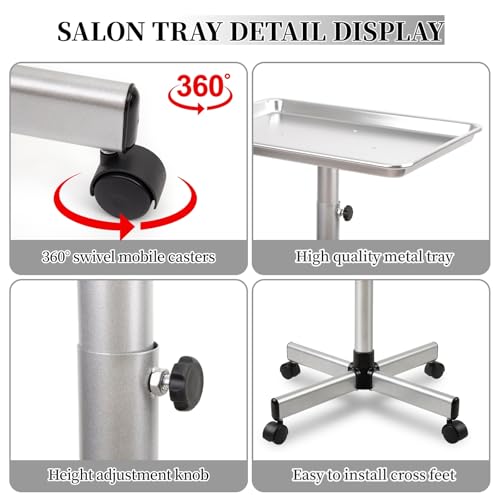 Salon Tray on Wheels,Salon Rolling Tray,Mayo Stand Tray,Medical Tray-Silver - color: Silver