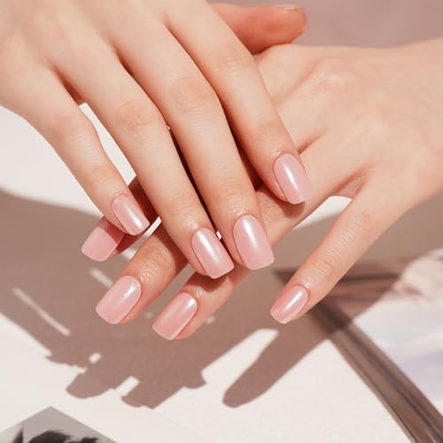 DANNI & TONI Semi Cured Gel Nail Strips Nude Pink Chrome Mirror Gel Nail Wraps 28 Stickers | Silken Hush - color: Silken Hush