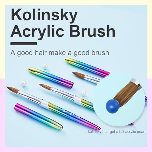 6PCS Kolinsky Nail Art Brush Set, 4/8/10/12/14/16. Oval Shaped Acrylic Powder Nail Design Tools for Professional Manicure DIY Home - color: Gradient, size: 6PCS