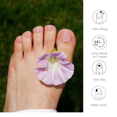 DANNI & TONI Semi Cured Gel Toenail Strips Nude Pink Chrome Mirror Toe Nail Stickers Gel Pedi Wraps 37 Stickers |Silken Hush - color: Silken Hush-pedi