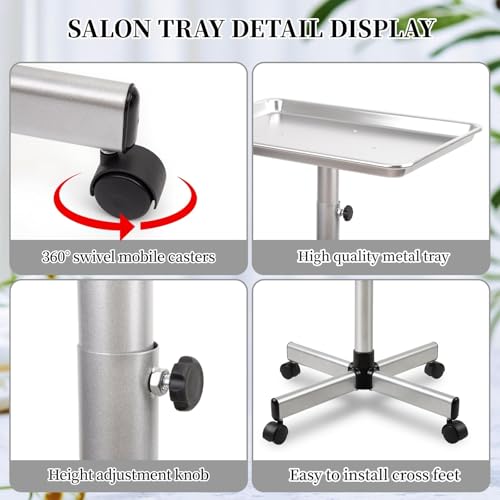 Salon Tray on Wheels, Hair Stylist Tray with Adjustable Height, Silver - color: Silver