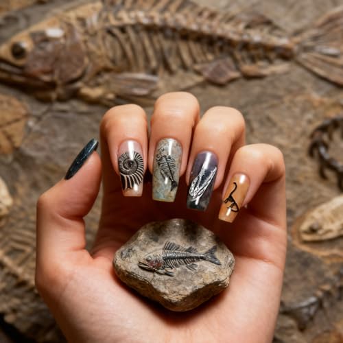 PH PandaHall 111 Patterns Dinosaur Fossils Nail Stamping Plates 3pcs Snake Fish Fossil Nail Stamper Marine Fossils Nails Image Plates Leaf Plant Nails Art Stencils for Women Manicures Salon Design - style: Dinosaur Fossils