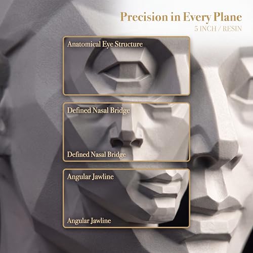 Planar Head Model Drawing Mannequin Artists Learn Planes of Face Human Manikin Head for Medical and Artistic Drawing Skecthing Painting Small Head Drawing Figure Mannequin (Female 4.5 in) - color: Female 4.5 IN