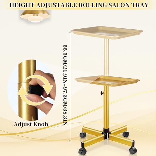 Salon Tray on Wheels,Gold Salon Rolling Tray,Tattoo Tray - color: Gold