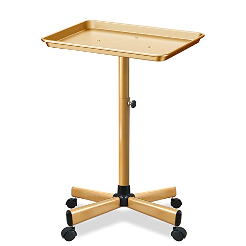 Retain Time Premium Aluminum Salon Tray, Sturdy Corrosion-Resistant Adjustable Tray is Used for Salon Tray on Wheels, Salon Tool/Color Tray, Beauty Spa Tray, Dentist Tray, Etc.…(Gold) - color: Golden