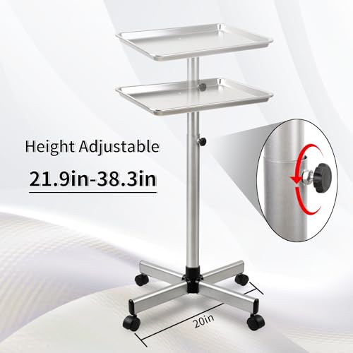 Salon Tray on Wheels, Hair Stylist Tray with Adjustable Height, Silver - color: Silver