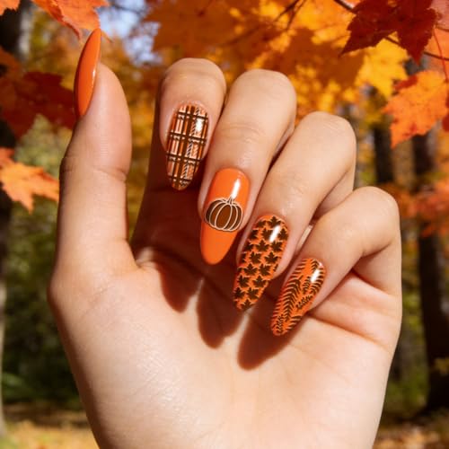 6 Sheets Nail Stamping Plate Seasonal Elements Nail Art Stamp - color: Seasonal Elements