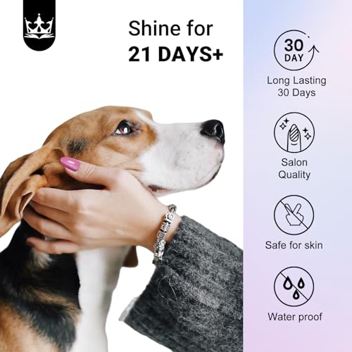 KQueenest Cat Eye Press on Nails Short Oval, 30 Pcs Light Gray Fake Nails Extra Short Almond, Glitter Magnetic Glue on Nails, Reusable Shiny Chrome Stick on Nails for Women Salon Manicure - color: Shimmer Light Grey