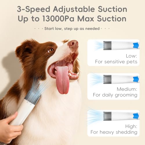 Dog Grooming Kit with Vacuum, Dog Nail Clippers & Dog Nail Grinder - color: Blue