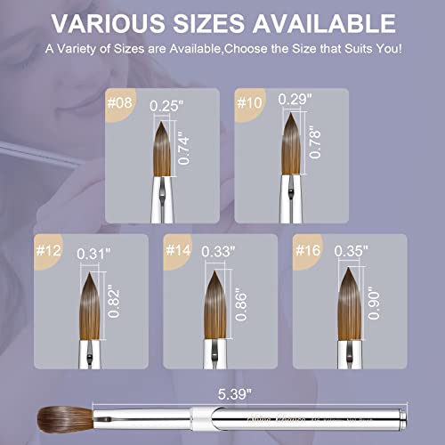 Acrylic Nail Art Brush Size 14, 100% Pure Kolinsky Hair Oval for Application, Professional Extension Manicure Tool Striping Drawing Pen DIY Home Salon, Silver, 1.0 Count - size: #14