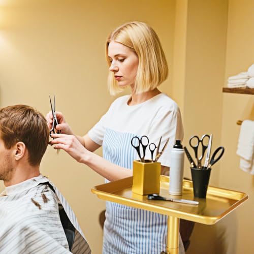 Salon Tray on Wheels,Gold Salon Rolling Tray,Tattoo Tray - color: Gold