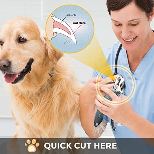 Best Dog Nail Clippers for Anxiety Sensitive Dogs with Thick Nail