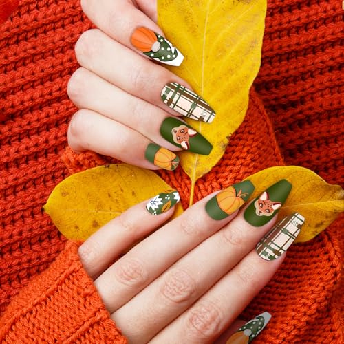JarThenaAMCS Fall Nail Stamping Plates Set, Pumpkin Leaf Gnome - style: Fall