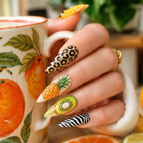 6 Sheets Nail Stamping Plate Basic Design Nail Art Stamp - color: Basic Design