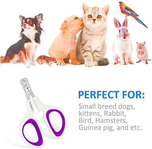 Pet Nail Clippers, Cat & Kitten Claw Nail Clipper Safe Sharp Trimmer - color: Purple