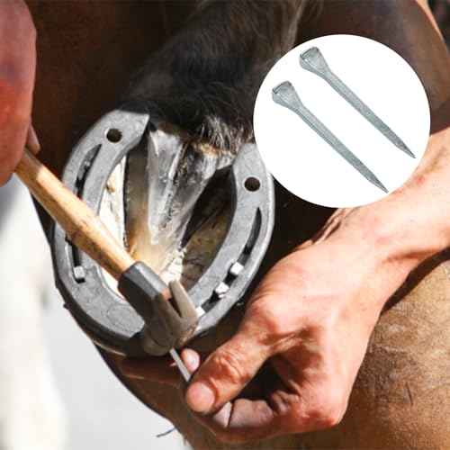 50 Pcs 2.13Inch (54mm) E6 Horseshoe Nails - size: E6（54mm）