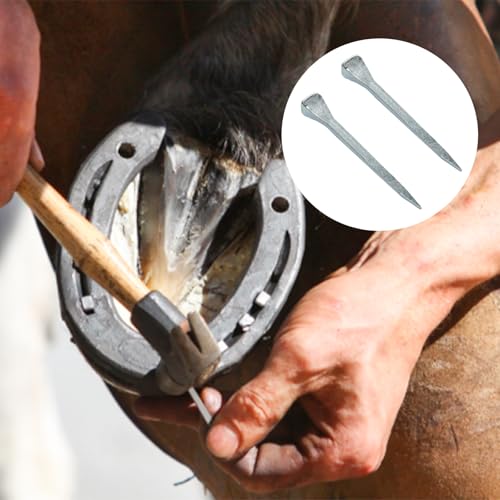 50 Pcs 2Inch (51mm) E5 Horseshoe Nails - size: E5（51mm）