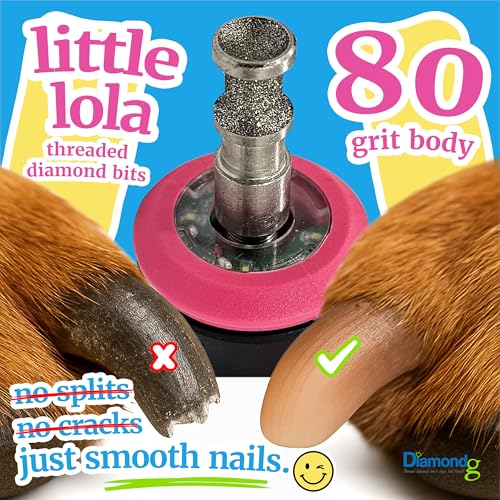 Diamondg Dog Nail Grinder Bits - Diamond-Coated, 80 Grit Body, 1Pack, Small - size: 004 - Enhanced Little Lola (1 Pack - Small)