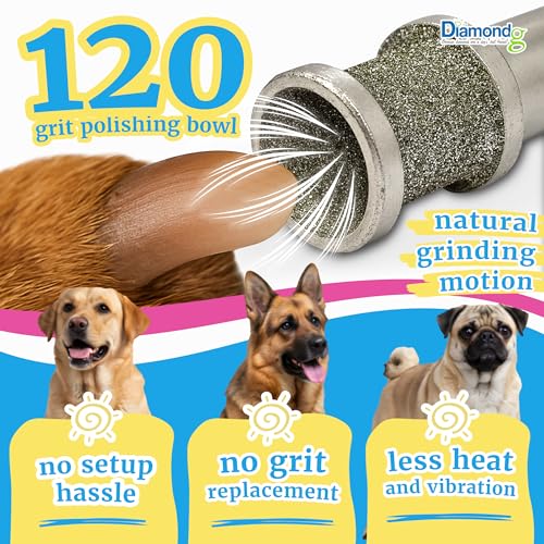 Diamondg Dog Nail Grinder Bits - Diamond-Coated, 60 Grit Body, 1pack, Large - size: 002 - Enhanced Big Casey (1 Pack - Large)