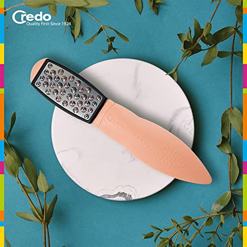 Credo Smart Cutter, C181 - Foot Scraper, Stainless Steel, 1 Count