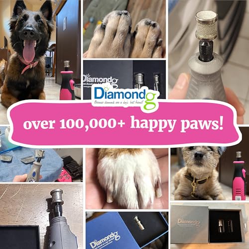 Diamondg Dog Nail Grinder Bits - Diamond-Coated, 60 Grit Body, 1pack, Large - size: 002 - Enhanced Big Casey (1 Pack - Large)