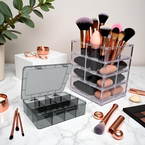 SRNYJAO Plastic Organizer Box, Clear Tackle Box Organizer Compartment Box - color: gray, size: Large 12 Grids