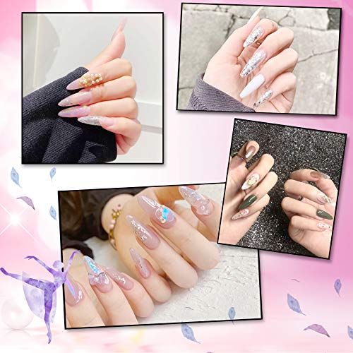 FEBSNOW 1000PCS Long Stiletto Nail Tips, Acrylic Flake Nails with Box