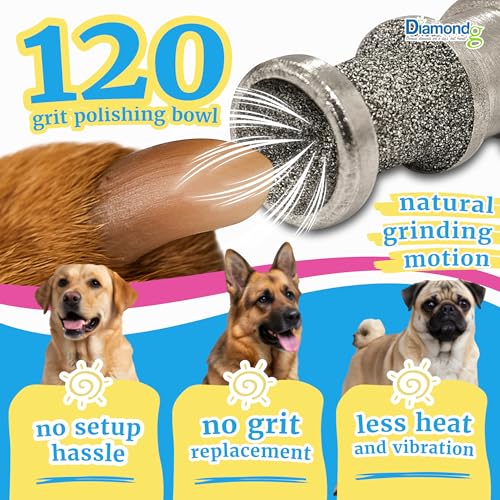 Diamondg Dog Nail Grinder Bits - Diamond-Coated, 80 Grit Body, 1Pack, Small - size: 004 - Enhanced Little Lola (1 Pack - Small)