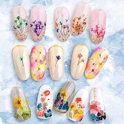 324PCS Dried Flowers Nail Art - Nail Art Accessories Kits, 81 Colors