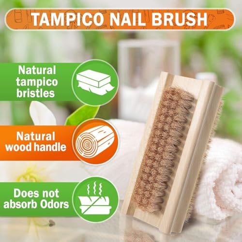 Konex Non-Slip Wooden Two-sided Hand and Nail Brush with Tampico Fiber Bristle. Fingernail brush with Beechwood body and Plant Based Fibers (Pack of 4) - size: 2 Count (Pack of 4)
