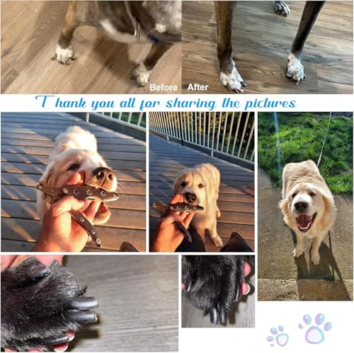 Best Dog Nail Clippers for Anxiety Sensitive Dogs with Thick Nail