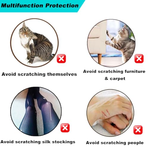 VICTHY 100pcs Cat Nail Caps Clear Cat Claw Covers Kitten Nail Caps with Adhesives and Applicators (M Clear) - size: Medium