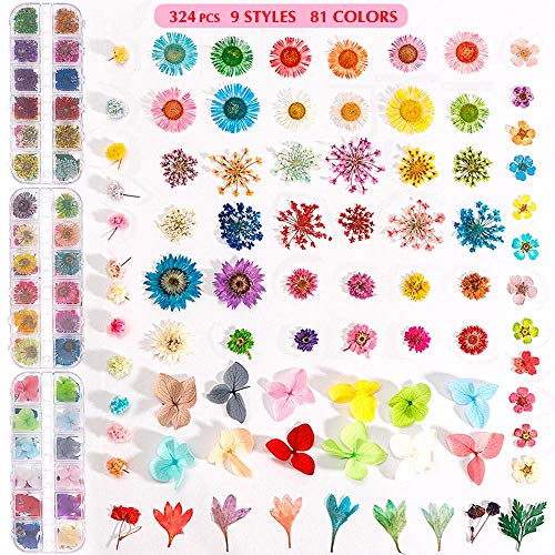 324PCS Dried Flowers Nail Art - Nail Art Accessories Kits, 81 Colors