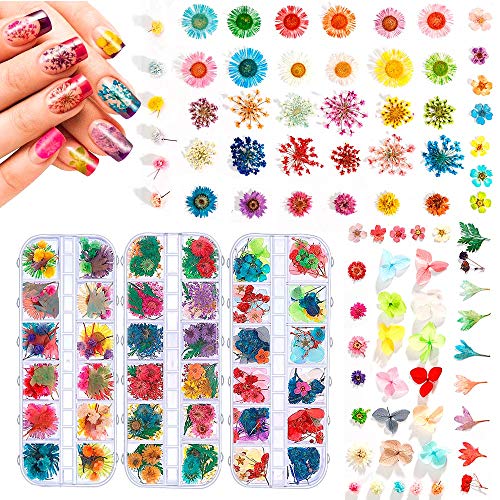 324PCS Dried Flowers Nail Art - Nail Art Accessories Kits, 81 Colors