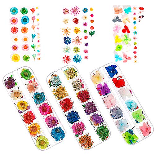 324PCS Dried Flowers Nail Art - Nail Art Accessories Kits, 81 Colors